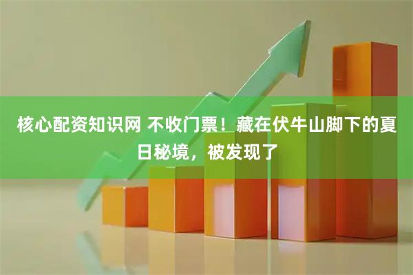 核心配资知识网 不收门票！藏在伏牛山脚下的夏日秘境，被发现了