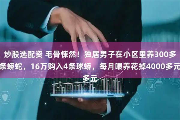 炒股选配资 毛骨悚然！独居男子在小区里养300多条蟒蛇，16万购入4条球蟒，每月喂养花掉4000多元